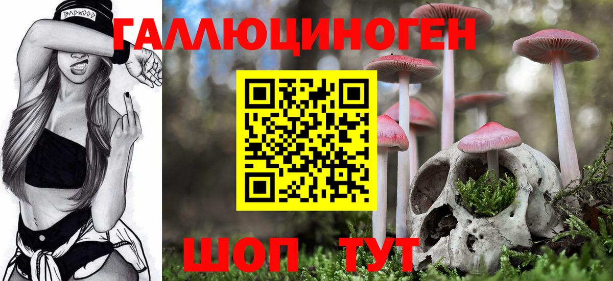 Псилоцибиновые грибы Cubensis  Вход с VPN  Обь 